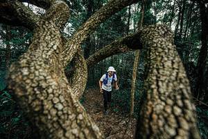 BIB: 
                            <button type="button" onclick="openModal(25393016)" class="btn btn-primary btn-sm float-right btn-popup" data-toggle="modal" data-target=".modal-high-quality">
                        <i class="fas fa-shopping-cart"></i> Add to Cart
                    </button>
                                            <button type="button" onclick="isThisMe(25393016, true)" class="btn btn-success btn-sm float-right btn-popup btn-isme hidden" data-toggle="tooltip" data-placement="bottom" title="นี่คือรูปของคุณใช่ไหม คลิกที่นี่เพื่อเอาเข้าอัลบั้ม">
                        <i class="fas fa-plus"></i> Add to album
                    </button>
                    <button type="button" onclick="isThisMe(25393016, false)" class="btn btn-warning btn-sm float-right btn-popup btn-isnotme hidden">
                        <i class="fas fa-ban"></i> Remove from album
                    </button>